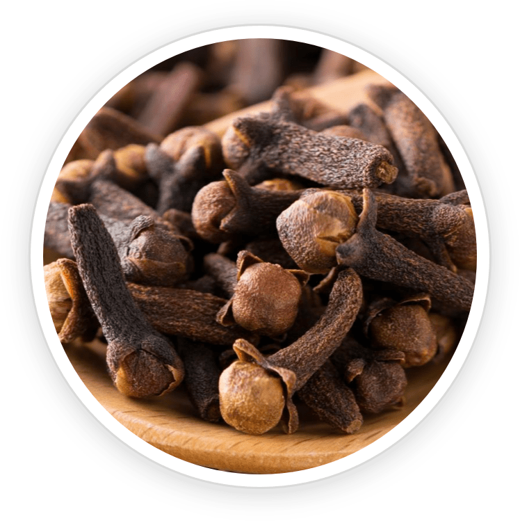 Shilajit - Maca root for natural energy boost and cognitive function