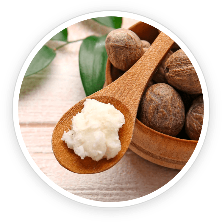 Shilajit - Maca root for natural energy boost and cognitive function