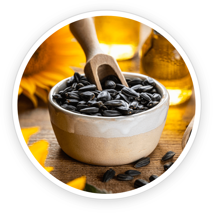 Shilajit - Maca root for natural energy boost and cognitive function